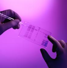 Excelitas在所有光子学学科中具有DNA测序的专业知识