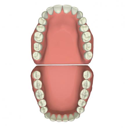 Excelitas擅长提供一系列用于3D牙科映射解决方案的光学技术