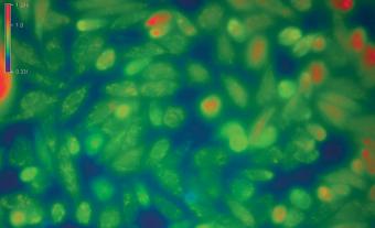 获奖的LED照明的荧光Fura-2 Cy7.5和超越