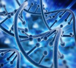 Beleuchtungs、Optik和Detektionstechnologien冯Excelitas treiben死biophotonische Entwicklung voran