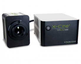 X-Cite 120LEDmini illumination system