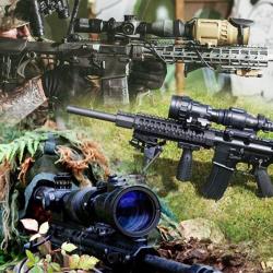 Excelitas offers a range of image-intensified and uncooled-thermal  sharp shooter weapon sights